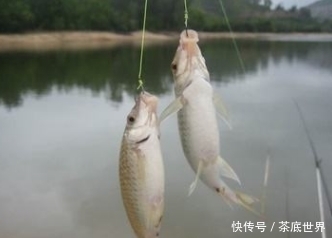 这两位大神“谁”才是钓鱼人的祖师爷,钓不到鱼时我想“拜拜”