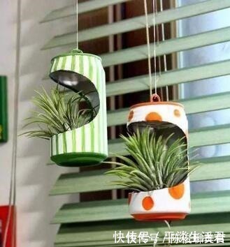 漂亮|这些破烂不要扔，做成“小花盆”，个性又漂亮，比买的强“百倍”！