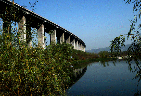 冬季钓鲫鱼你真的行吗?迟来的技巧,上来的都是大板鲫!