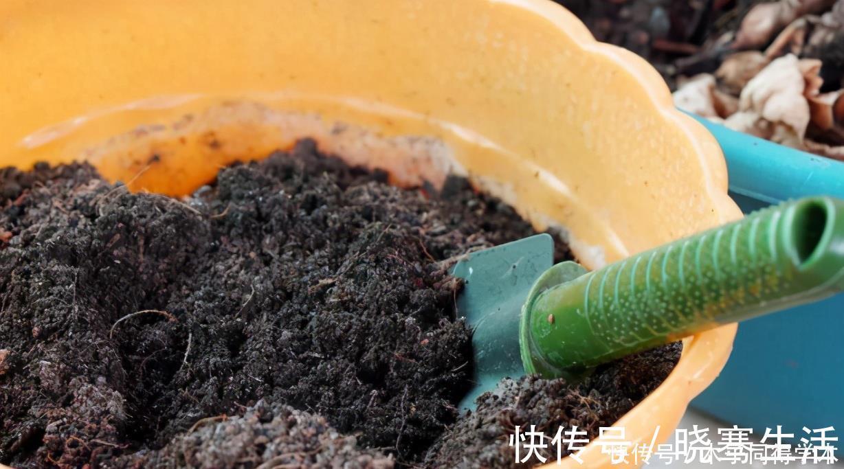 发酵|想要花儿长的好,有4种土,扔掉也别用,特别是新手要谨慎使用