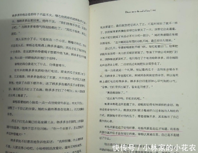 梦一场|匪我思存《花颜》，读后笔记