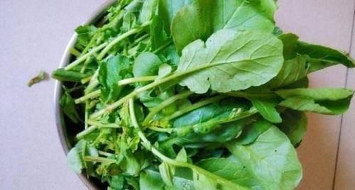 腸胃|想養生得會吃,多吃三種食物,排毒養顏,調理腸胃,安神助睡眠