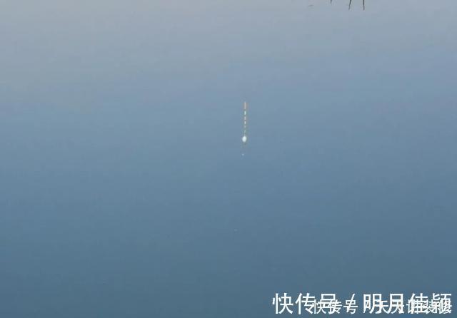 浮漂|挑选浮漂要讲方法，老钓手分享“四步选漂法”，实用又省钱