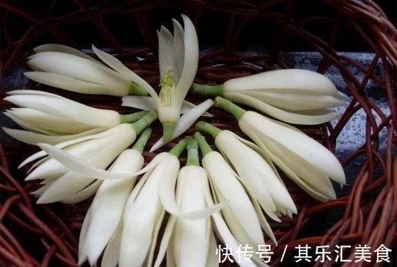 养花先养根，根壮花才旺，学会这一招，白兰花猛开花