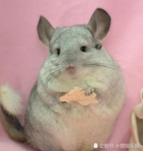 翘二郎腿|女生想要甩掉“大粗腿”,这三个毛病必须改掉,不然会反弹