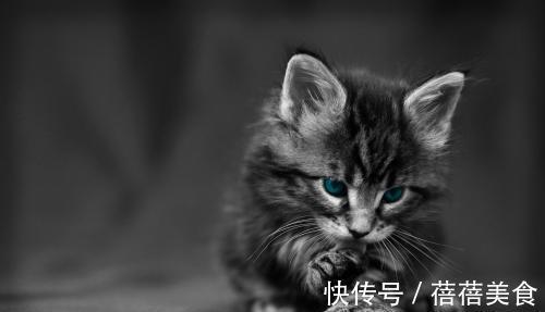 |幽默笑话:今天刚领了工资,带儿子去商场逛了一整天