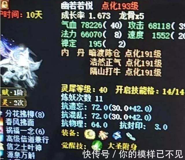 大话西游2|大话西游2玩家不经意间的挑战几率 孟极得到了第八个技能