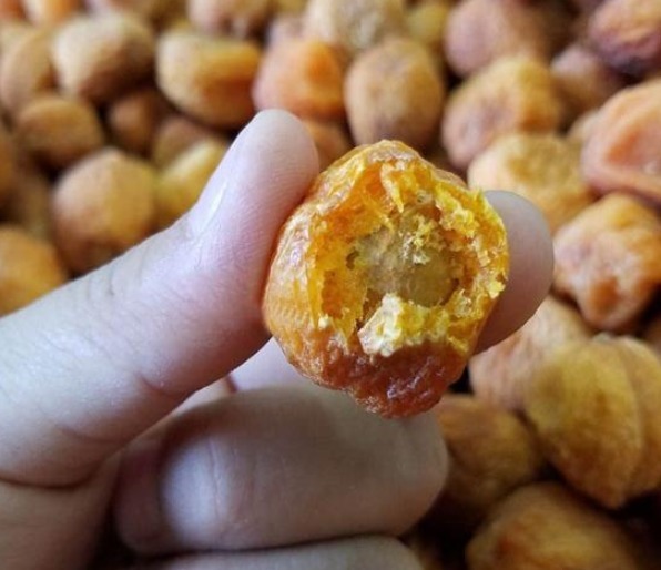 野果|北方特有的野果,要“烂”在树上才好吃,如今30元一斤争相购买