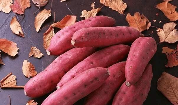 吃红薯也有禁忌,这个时间段尽量不要吃,看看你吃对了吗?