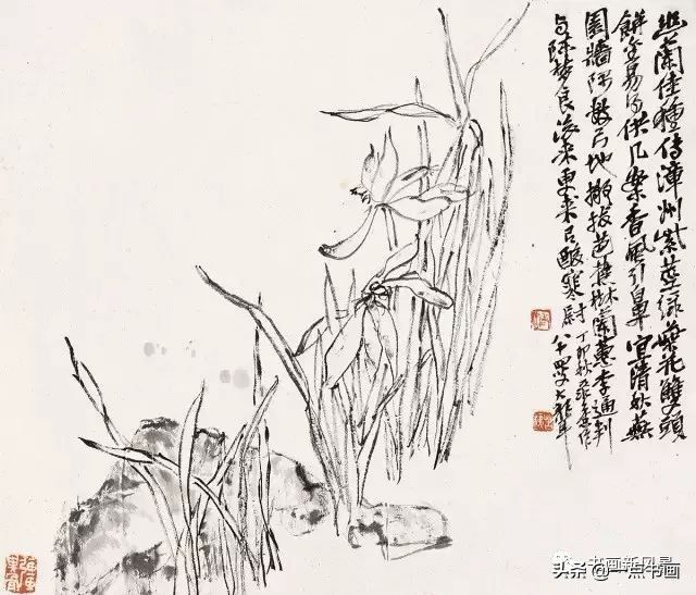 柳雀|吴昌硕绝笔花鸟册，用笔用墨，果然老辣