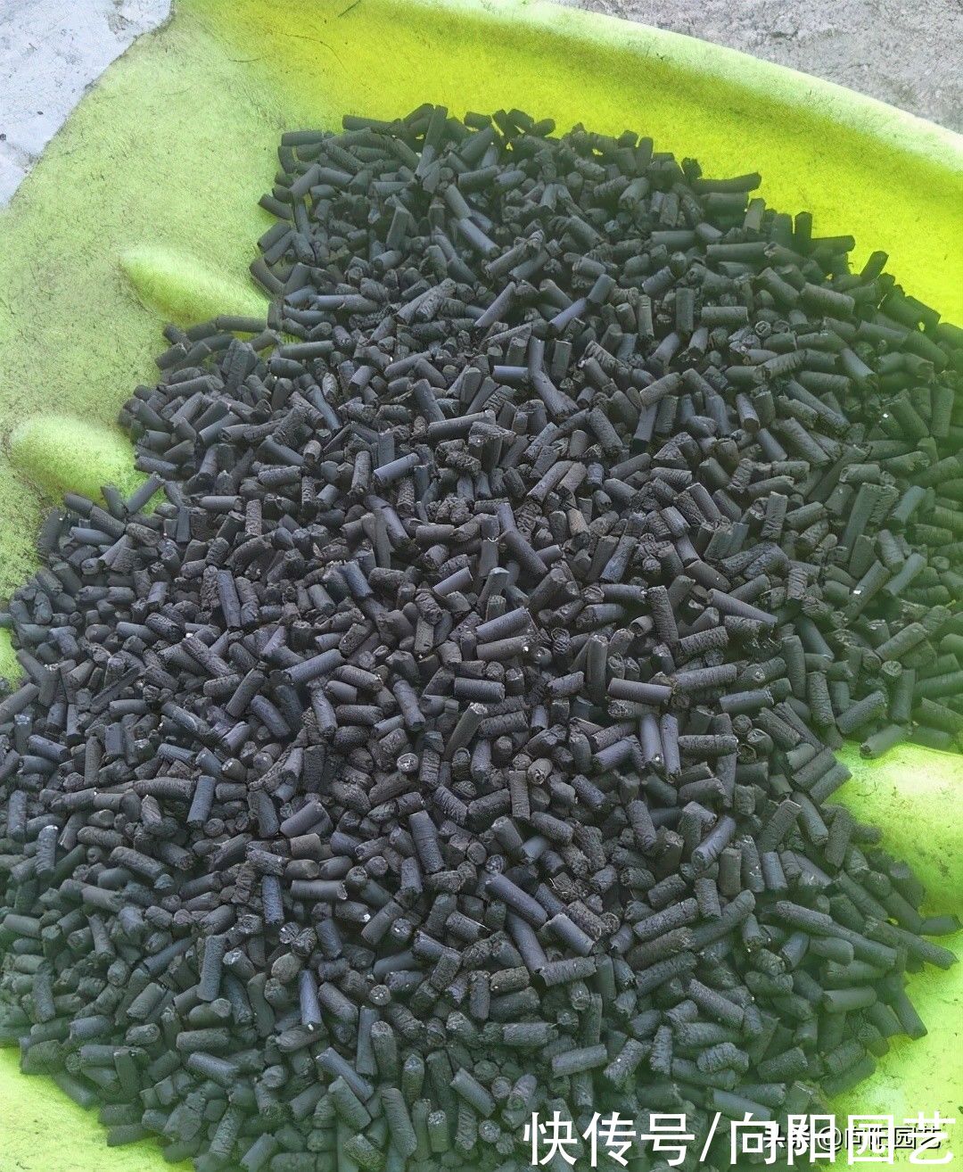 习性|养花，哪种肥料最好用？根据生长习性决定，合适才是最好的