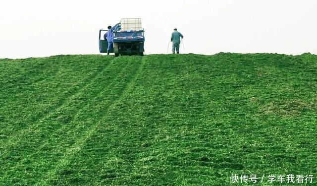 亚洲人跟西方人的体质差异，从这个方面就能看出来