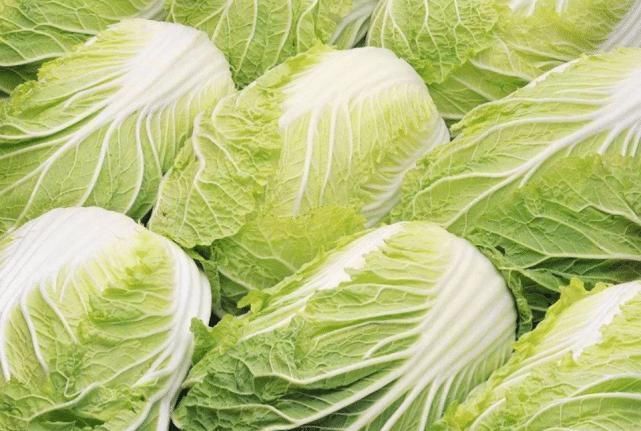 生理期|为什么专家建议白菜要少吃,最好是不要吃看完很是受益