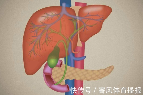 五味子|90后夫妻，同时查出肝硬化，医生：这2物吃天天吃，肝遭不住