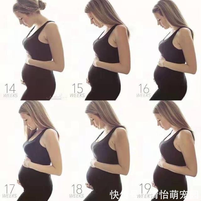 胎宝|怀孕后哪几个月，胎宝长的最快呢？三个表现说明胎宝在“猛涨期”