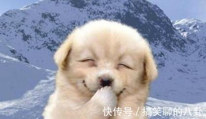 |搞笑段子:受不了医院工作要辞职,原因竟是以前是品酒师