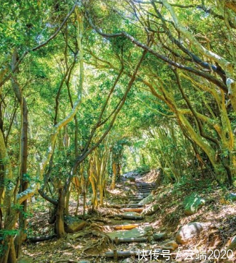 吉卜力|名美美术教育:请问有无吉卜力动画迷?点进来看看!