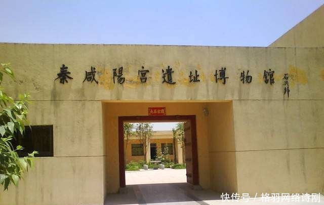 骑马|新庄村出土骑马玉人,玉人手里拿着神秘菌类,揭露古人的一个秘密