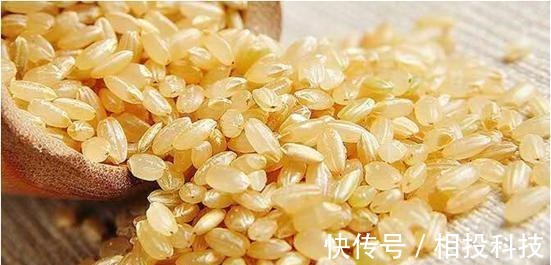 牛蒡牛蒡|有9种平价食物是祛湿高手,每天吃一点,排除体内湿毒一身轻