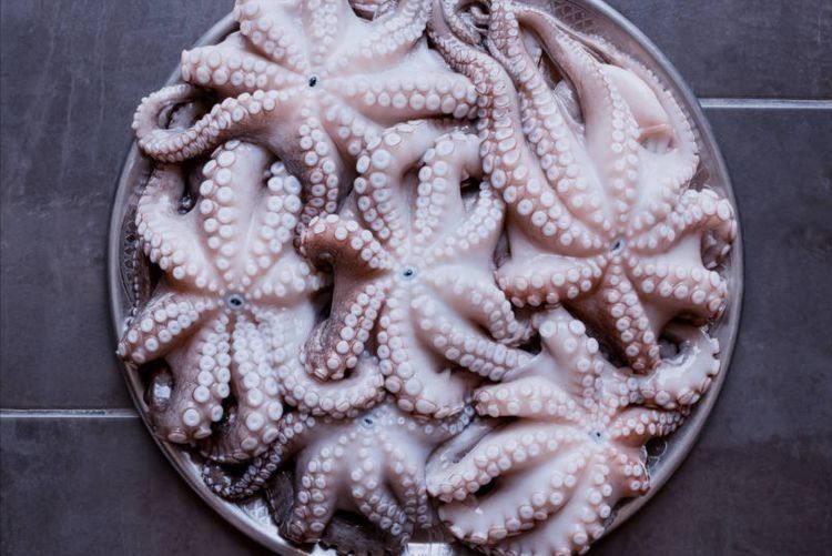 煮八爪鱼，别等水开再下锅，不然嚼不动，渔民教你3招，鲜香爽脆