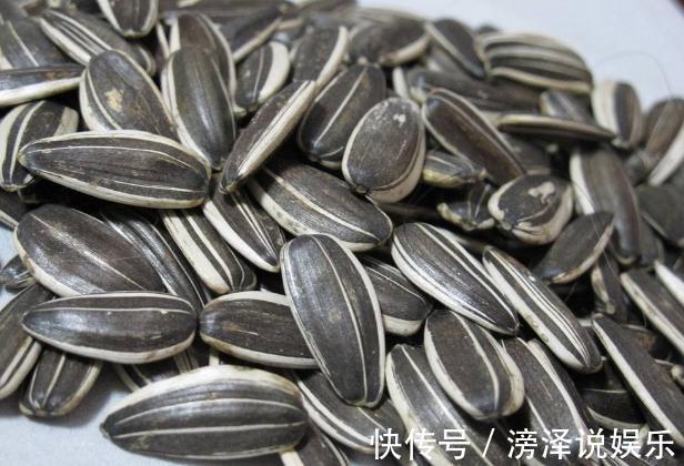 多肉|养多肉、蟹爪兰、君子兰,用它就能根固叶茂,远离烂根困扰