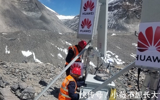 驻美大使馆|不惧美国力挺华为,阿联酋选对了