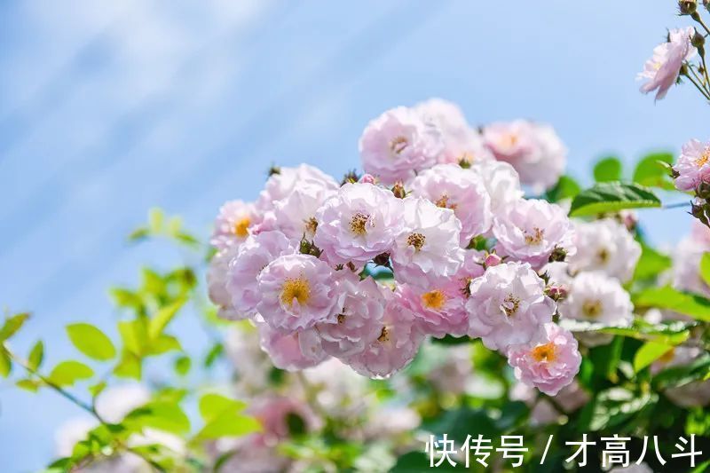 江月@100首春天唯美古诗词(值得收藏)