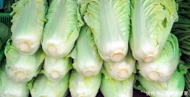  些黑点|白菜上的黑点是什么，到底能不能吃？