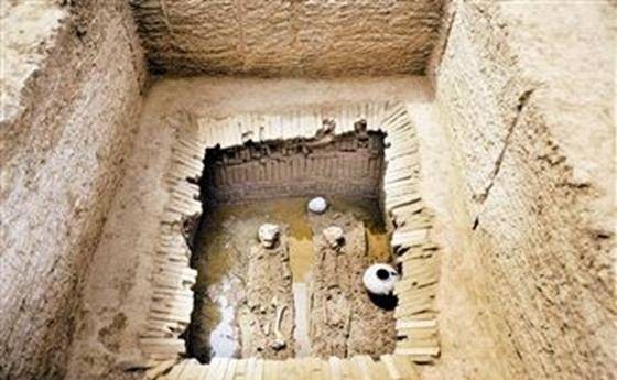 风水学中有一种树,老百姓家从来不种,种到墓前可防盗墓贼