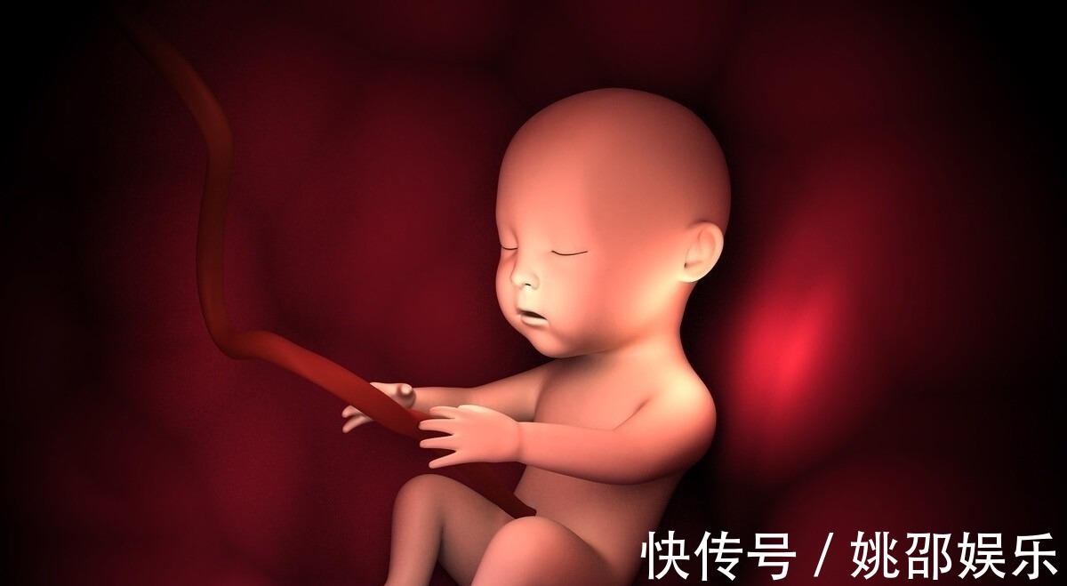 羊水|胎宝在妈妈肚子里无聊不?是时候告诉孕妈真相了,怪可爱的