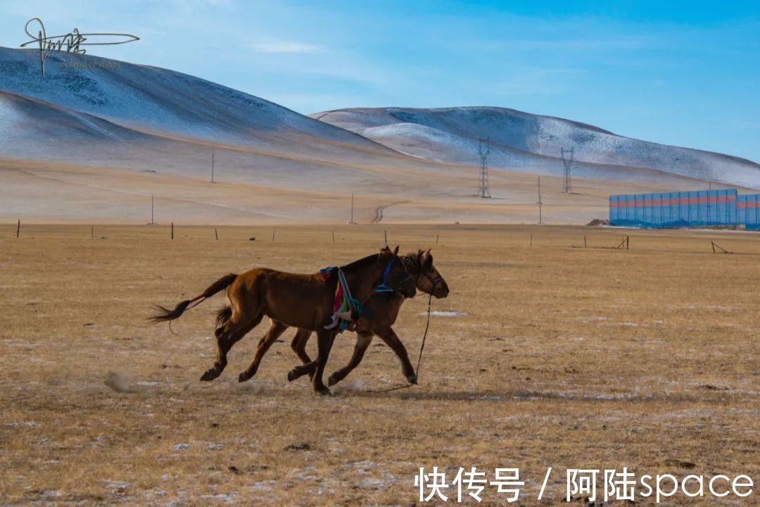 马群|威武雄壮是套马汉子的代名词，他们的工具却大部分都被湿牛粪捂过