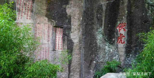 武夷山|福建武夷山堪称宝藏之地，不仅山水胜景美，人文风情也十分浓厚