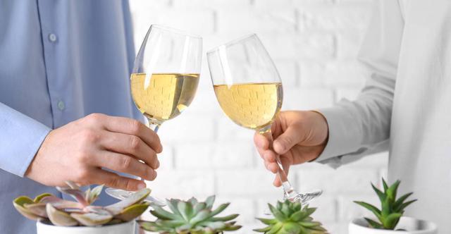 夏季|多肉里的普货也能养出好状态,以下普货多肉,好养易出状态