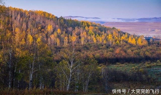 东北|日本人在东北到底埋了多少宝贝，埋在哪里老兵就在大兴安岭