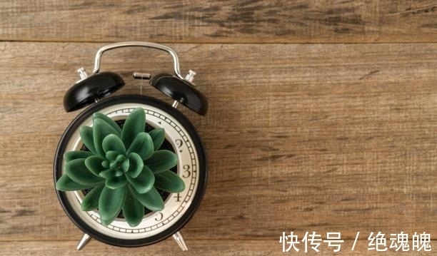 命格|3天后，拨云见日，怦然心动，喜鹊鸣叫，爱火重燃，携手前行