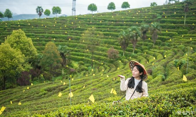 春日徒步旅行 探寻隐藏的小众秘境