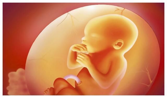 宝宝|宝宝在腹中没“动静”了?妈妈不必惊慌,多半和这些因素有关