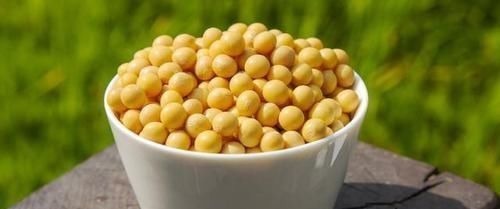 豆类|糖尿病多吃“4豆”，抵抗血糖升高，防并发症，早知早受益