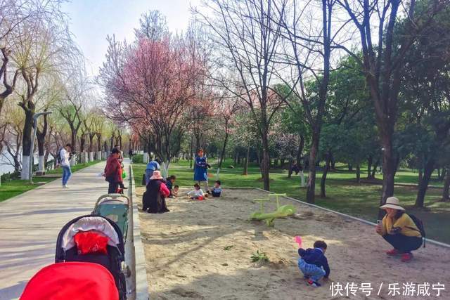 元宵节，带着你的“李焕英”“云”赏花吧！|春暖花开醉咸宁① |元宵节，带着你的“李焕英”“云”赏花吧！\＂,\＂i12\＂:\＂春暖花开醉咸宁①