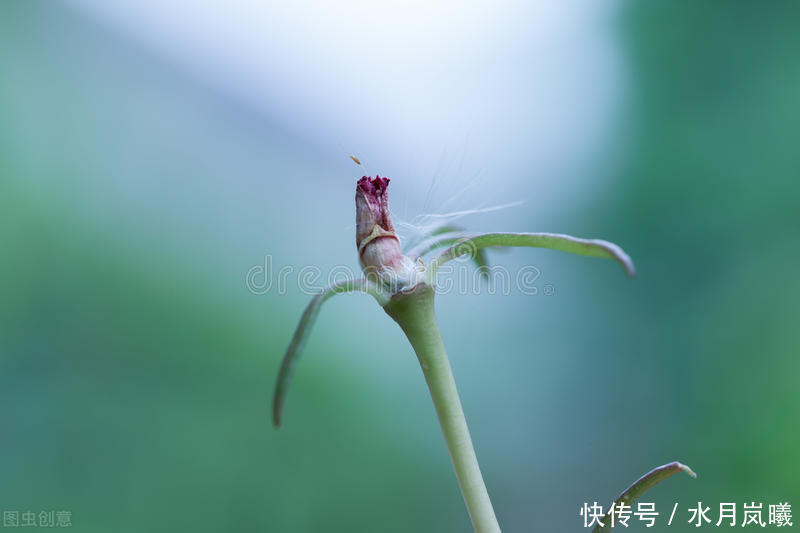 繁华|漫卷时光，岁月留香，倚窗听雨思韶华，静数流年入烟霞