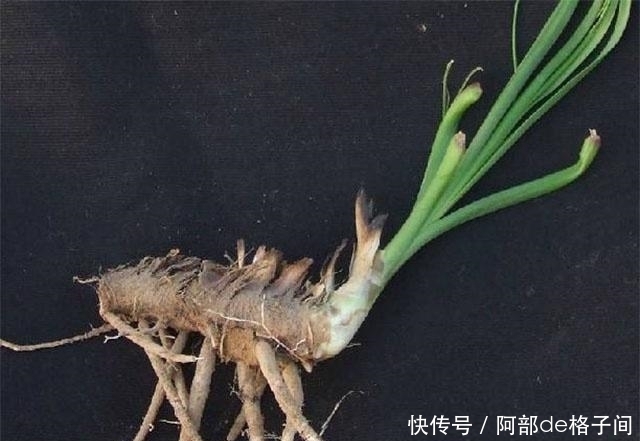 饭前|男人想养肾,饭前常喝3种水,戒1物,补充肾气,精力会很不错