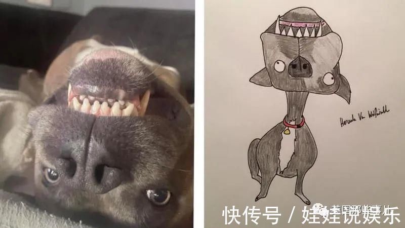 pet#随手涂鸦，自己觉得是“垃圾”的画作，没想到却在网上卖疯了