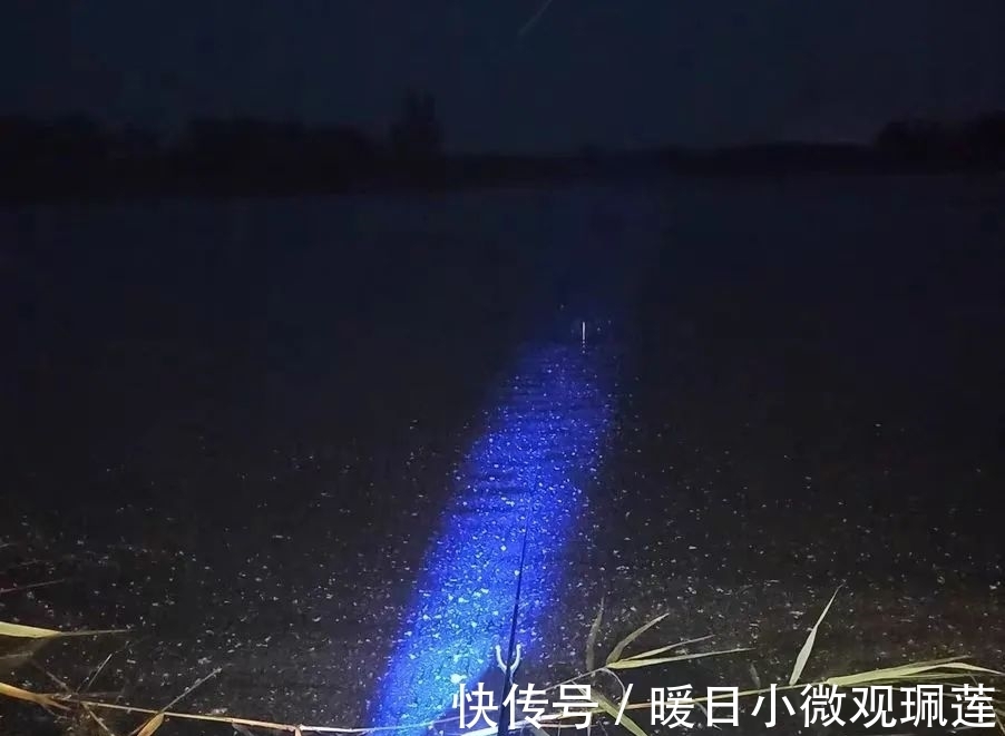 深水|晚上鱼口一定好?难怪你经常空军,夏季夜钓有“四不钓”