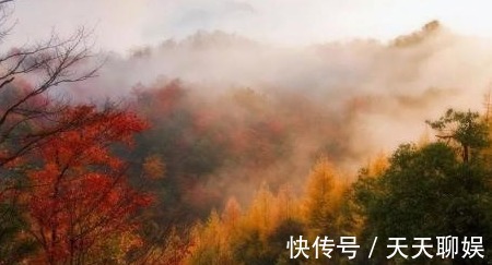 庐山|暑假结束啦，秋天还远吗？最适合秋游的6个地方，快收藏