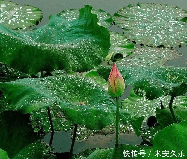 疏通|天气越冷身体越不通,一补就上火,上热下寒的人,这样做疏通身体