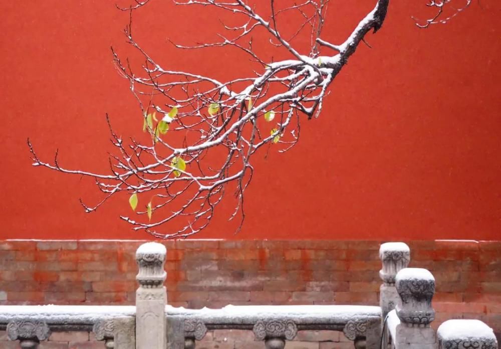  江山|风中闻草木，雪里见江山