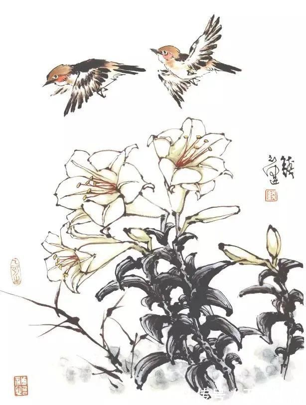 花鸟画@他的师父是海派小写意花鸟画第一人江寒汀,其作品自然也不差
