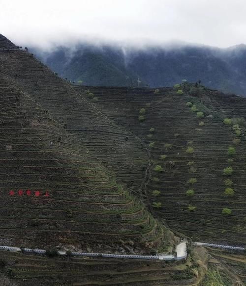 狮石公路|皖南天路行：徽州蜈蚣岭村美丽又安静，我在这里玩爽了