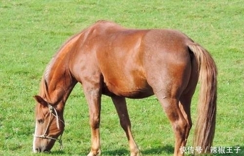 周一开始财神爷点名,财运高升,3生肖鸿运当头,收入高涨