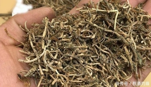 赵学敏|它是如此的珍贵，若长在你家路旁，赶紧移栽家中，小心被别人挖走